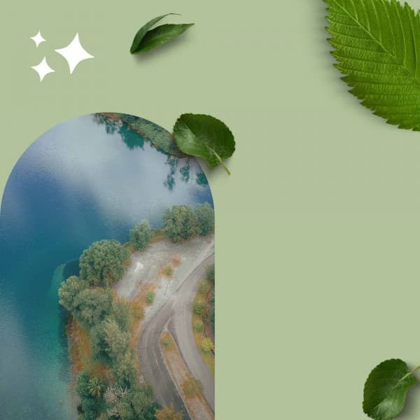 Background Music - Relax Music Therapy - Deep Sleep Meditation Radio