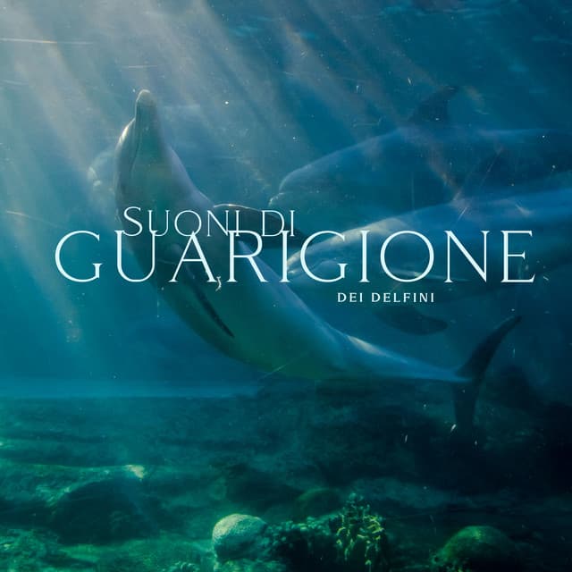 Meditazione guidata universo