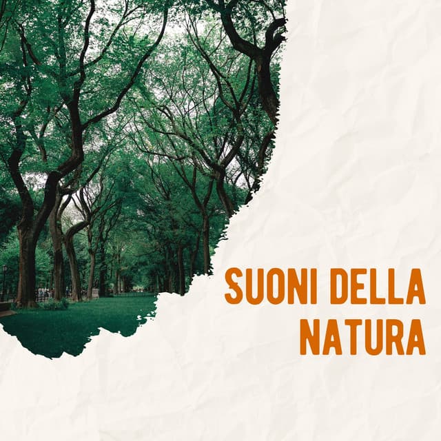 Suoni della natura: melodie rilassanti e meditative per il benessere - Ninna Nanna Sogno