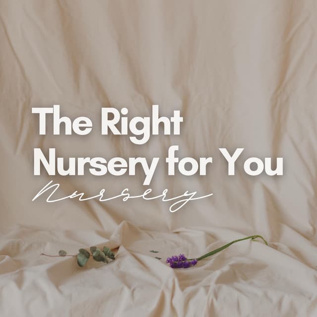 The Right Nursery for You - Nursery Rhymes