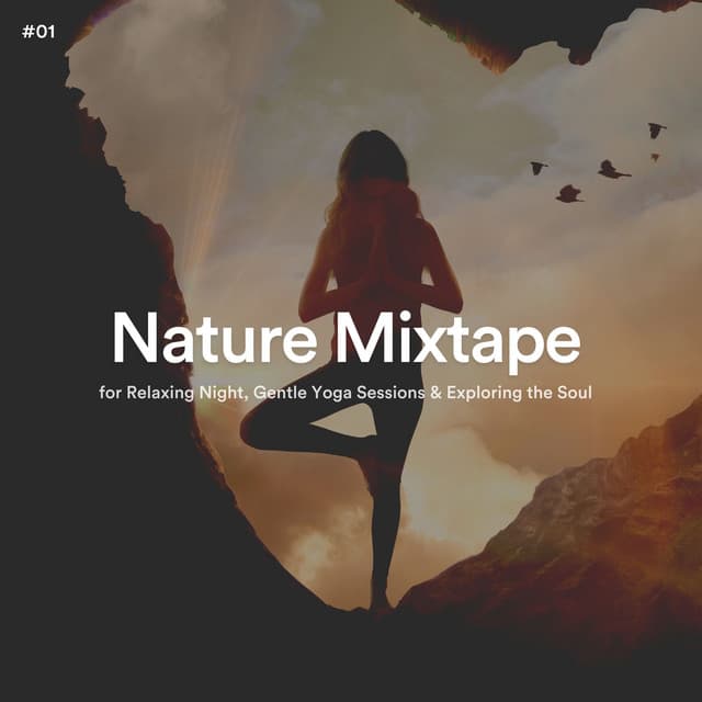 #01 Nature Mixtape for Relaxing Night, Gentle Yoga Sessions & Exploring the Soul - The Nature Soundscapes
