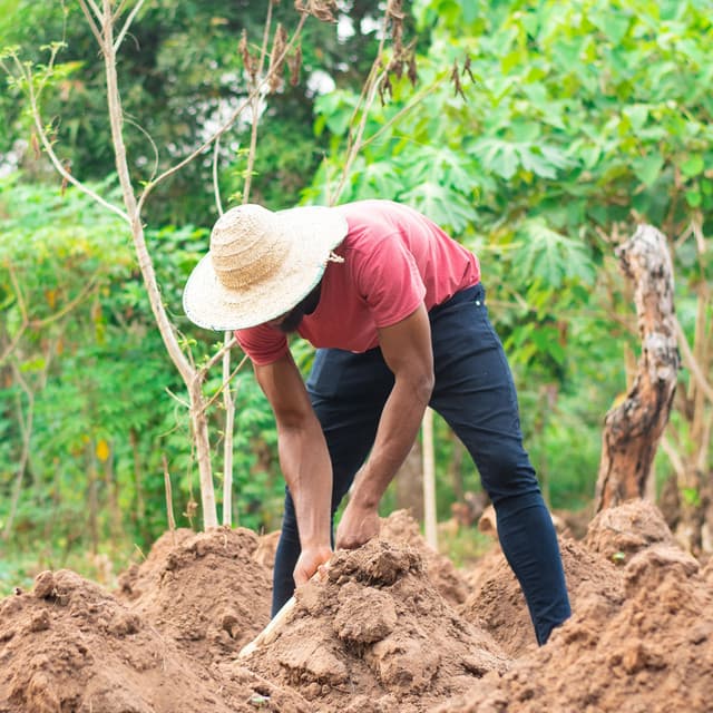 Workday Respite with Piano Rain's Serenity - Ultimate Piano Relaxation