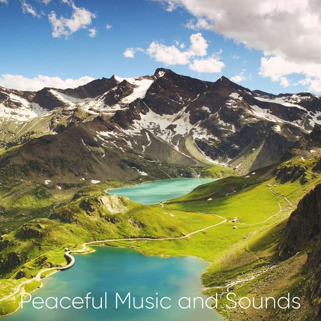 Peaceful Music and Sounds - Hang Drum Sound Collectors