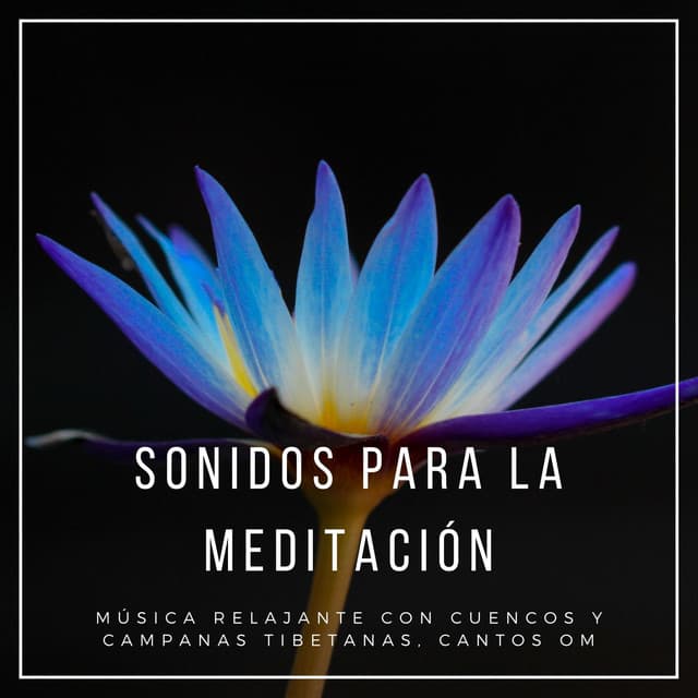 Sonidos para la Meditación: Música Relajante con Cuencos y Campanas Tibetanas, Cantos Om - Cuencos Tibetanos