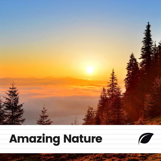 Amazing Nature - Weather Sounds