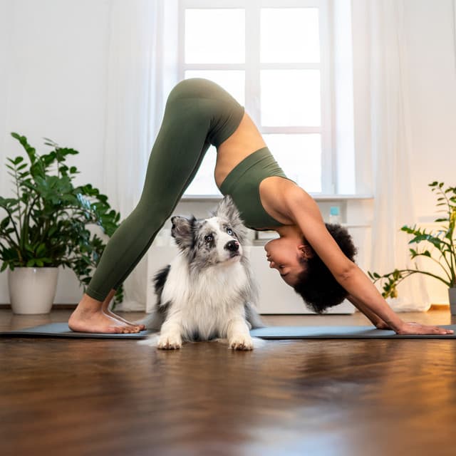 Stretch & Energize: A Complete Yoga Journey for Runners, Puppies and Mornings - Ben Silence
