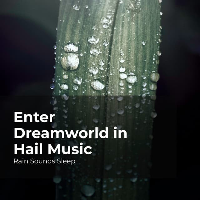 Enter Dreamworld in Hail Music - Rain Sounds Sleep