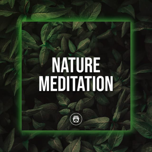Nature Meditation - Rain Sounds Sleep