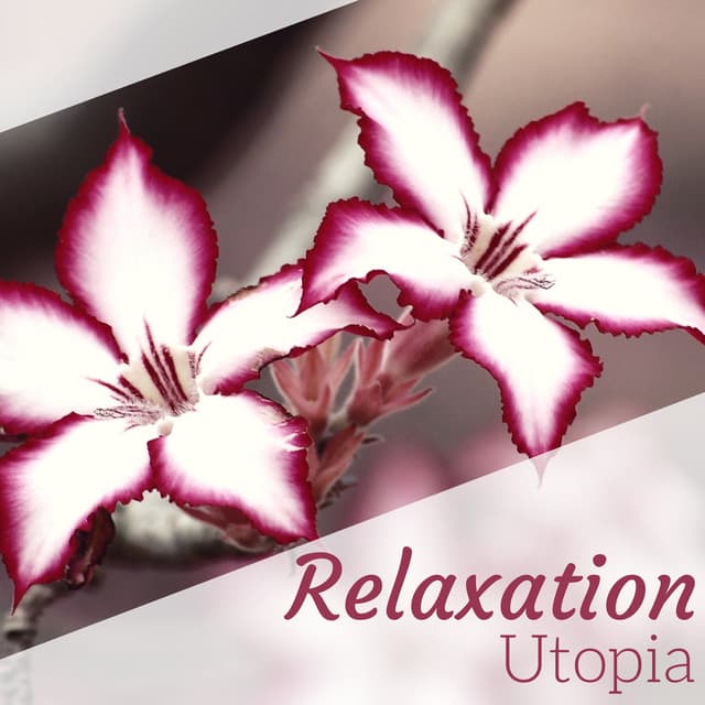 Relaxation Utopia - The Very Best Sounds of Nature to Relax - Mind Relax Ensemble