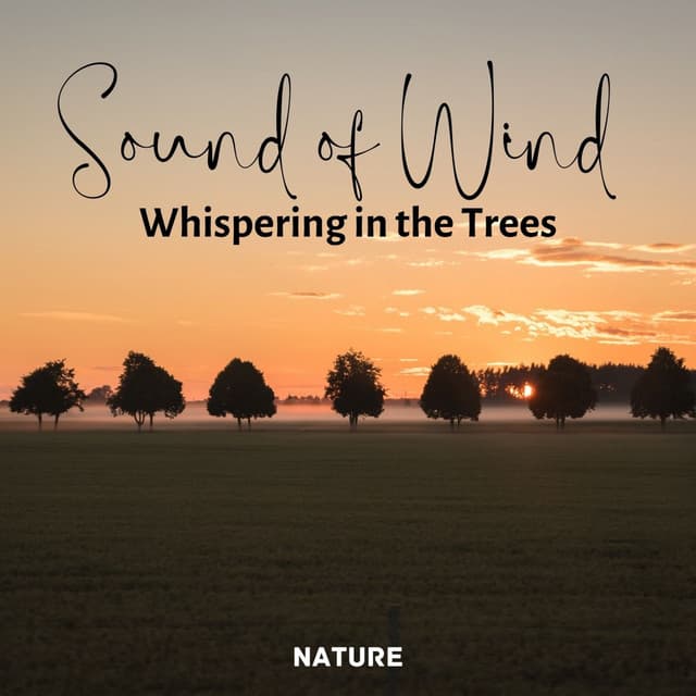 Nature: Sound of Wind Whispering in the Trees - Meditation Music For Relaxation