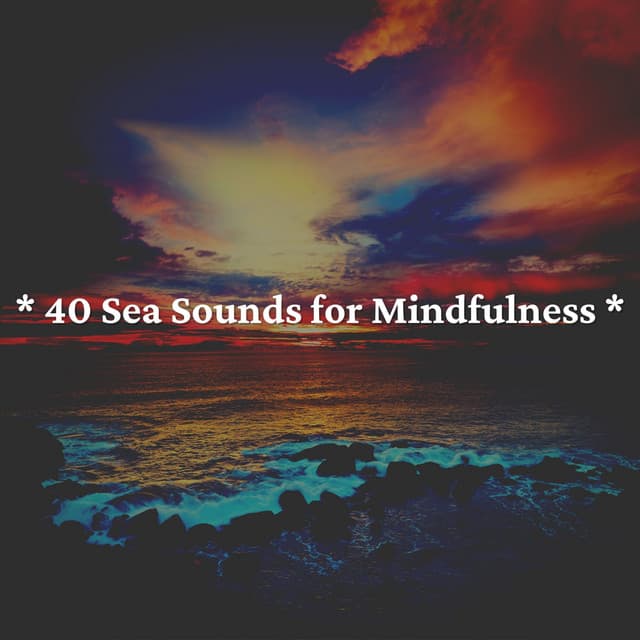 * 40 Sea Sounds for Mindfulness * - Ocean Sounds