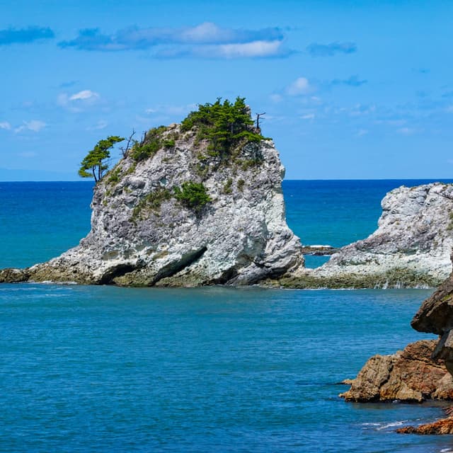 Life and Changes - Niigata