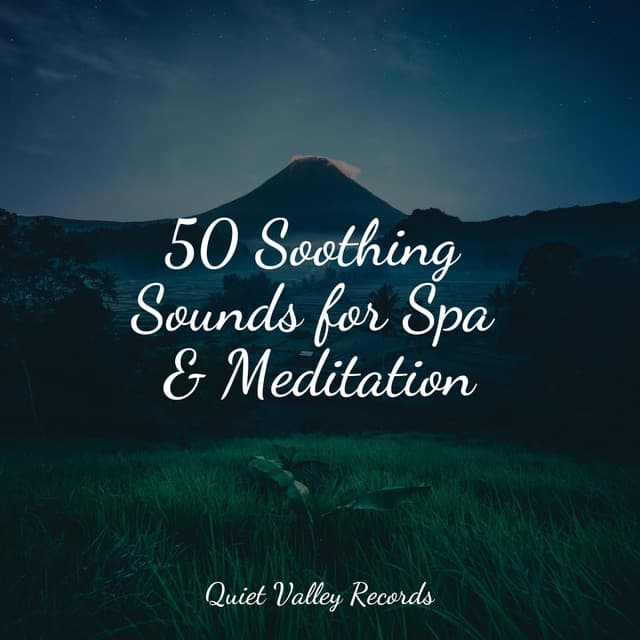 50 Soothing Sounds for Spa & Meditation - Pink Noise
