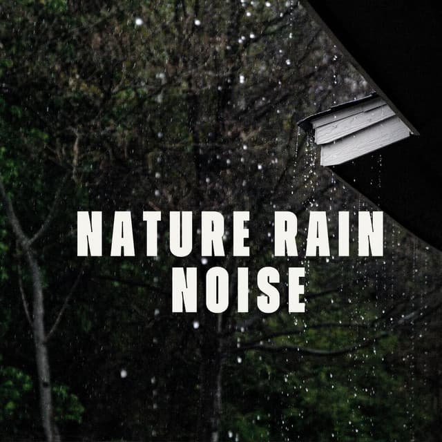 Nature Rain Sounds - Rain Sounds & White Noise