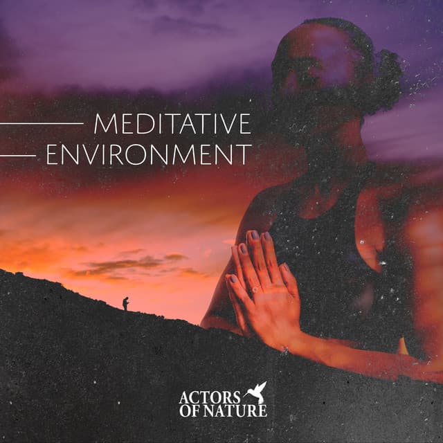 Meditative Environment - Actors of Nature