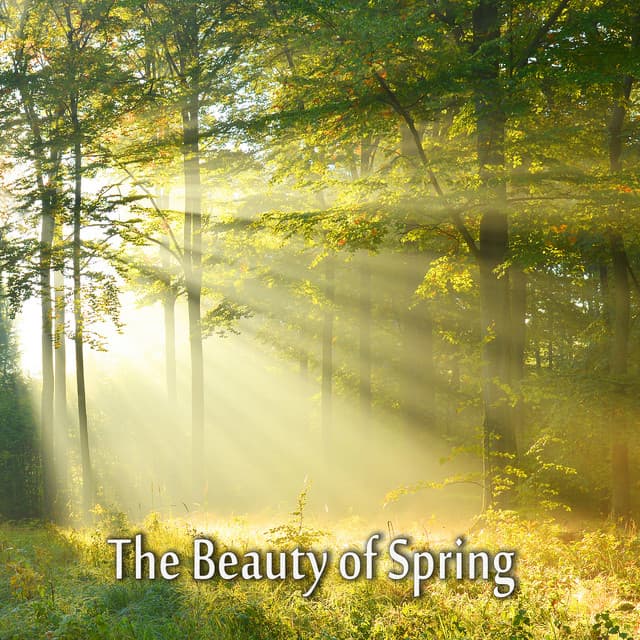 The Beauty of Spring - Better Sleep