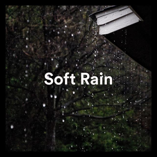 Soft Rain - Soft Soundscapes