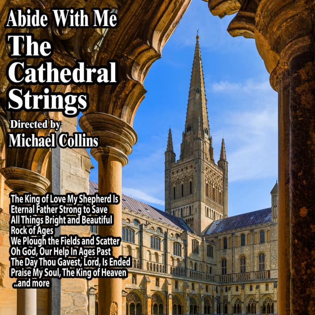 The Cathedral Strings