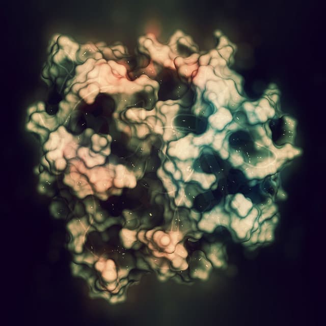 Derived - Soothing Symphony