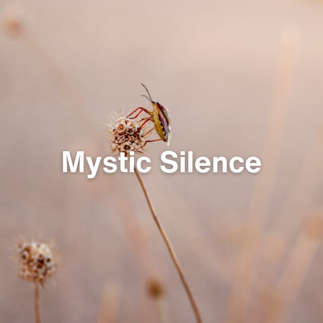 Mystic Silence - Relaxing Radiance