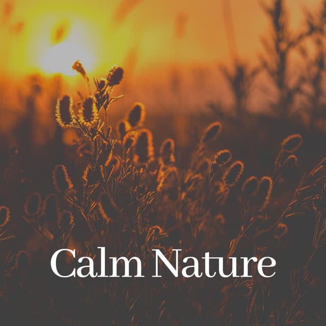 Calm Nature - Zen Garden Secrets
