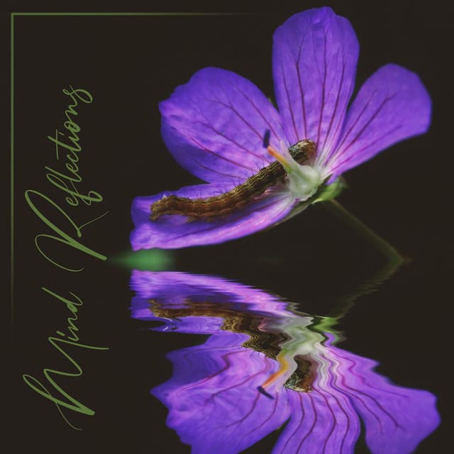 Mind Reflections: Meditative Experience and Harmony, Healing Sounds of Nature, Immersive Peace - Calming Music Sanctuary