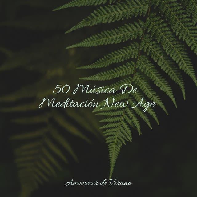 50 Música De Meditación New Age - Música Instrumental Maestro