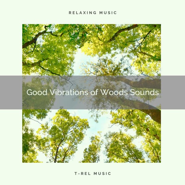 2020 Best: Good Vibrations of Woods Sounds - Sonido Del Bosque y Naturaleza
