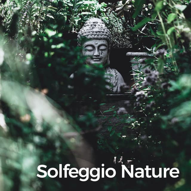 Solfeggio Nature - Solfeggio Frequency Meditation