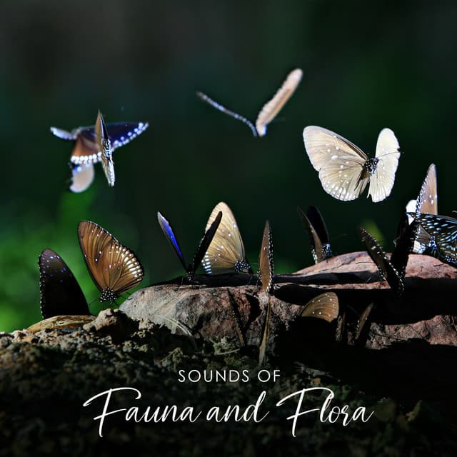 Sounds of Fauna and Flora: Amazing Nature Sounds Collection - Nature Collection