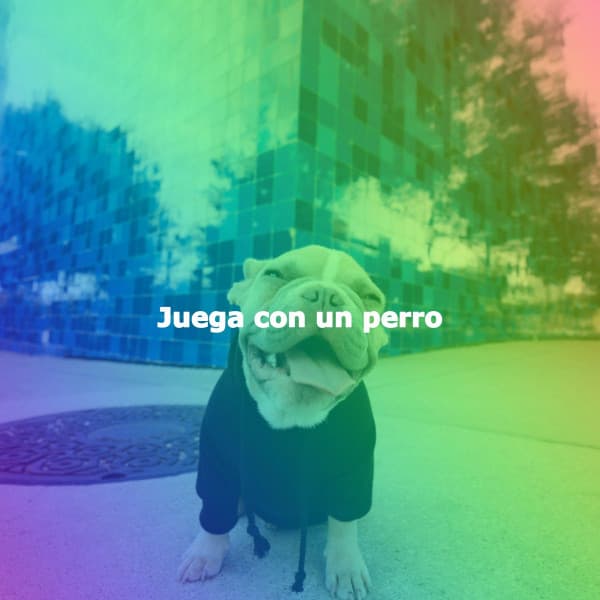 Juega con un perro - Jazz Animada para Cafeterías