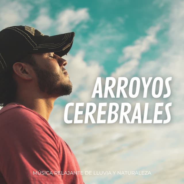 Arroyos Cerebrales: Música Relajante De Lluvia Y Naturaleza - Sonidos de la Naturaleza Ruido