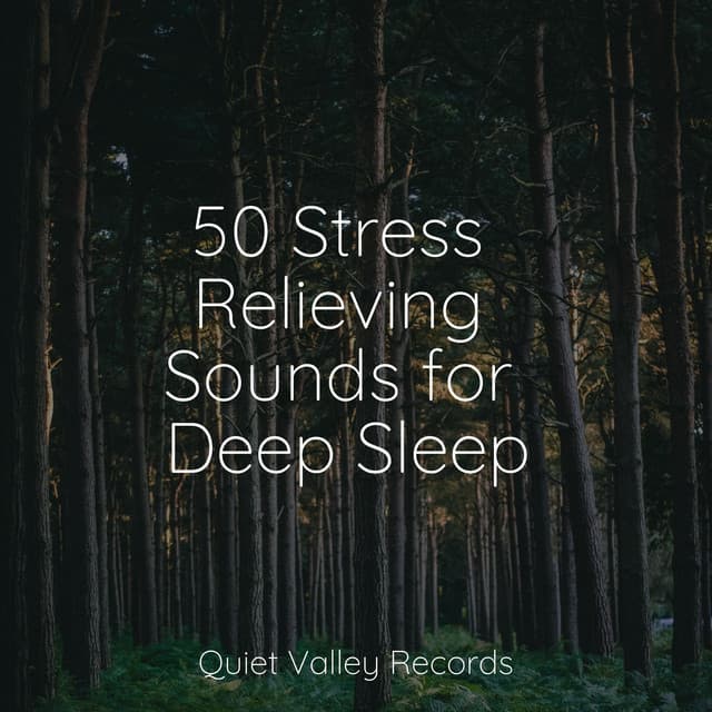 50 Stress Relieving Sounds for Deep Sleep - Rain Sound Plus