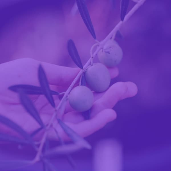 Sophisticated Bgm for After Hours Work - Música para Oficinas Musica De Fondo