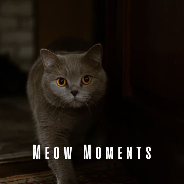 Meow Moments: Coffee Shop Jazz for Contented Cats - Cafe Jazz Relax