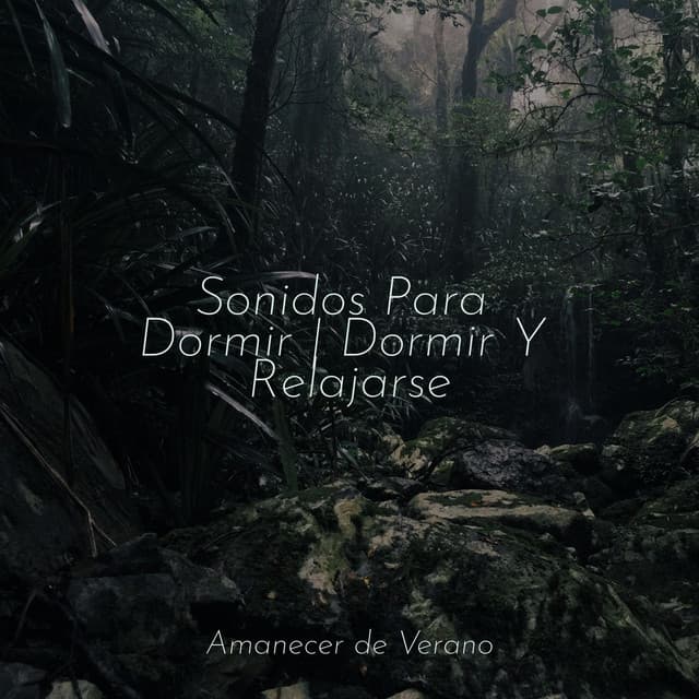 Sonidos Para Dormir | Dormir Y Relajarse - PowerThoughts Meditation Club