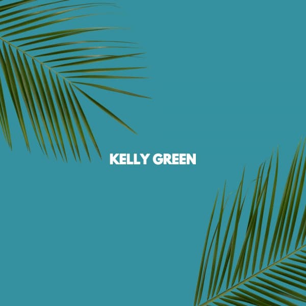 KELLY GREEN - #Calming