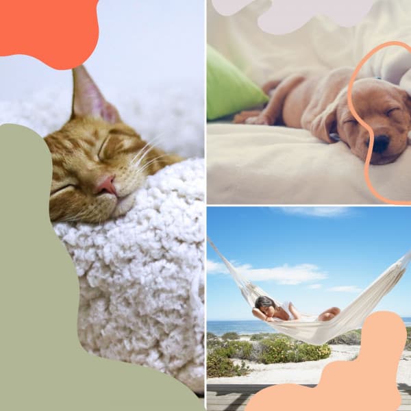 Indian Chill Out Music - Background for ASMR Sleep - ASMR Sounds for Sleep