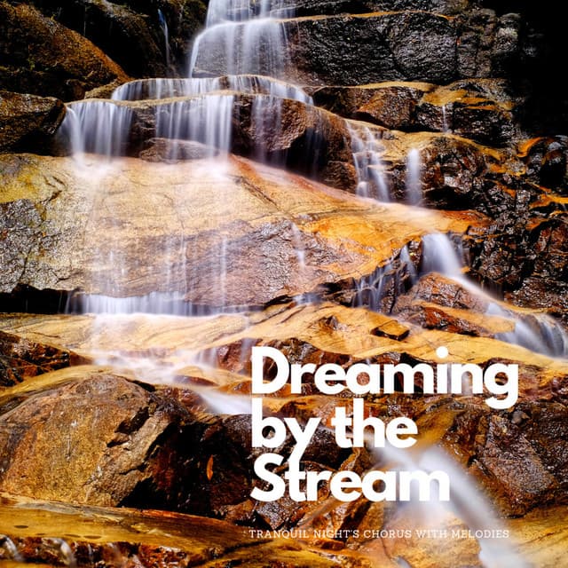 Dreaming by the Stream: Tranquil Night's Chorus with Melodies - Dream Keepers