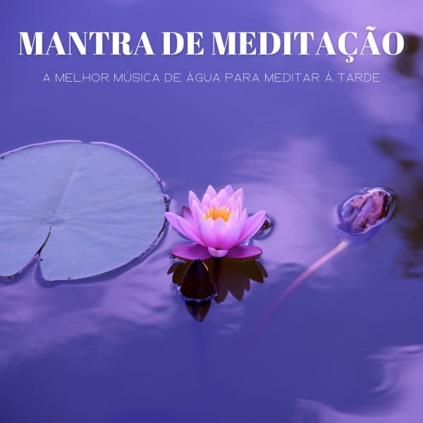 Mantra De Meditação: A Melhor Música De Água Para Meditar À Tarde - Música Para Cães Adormecidos