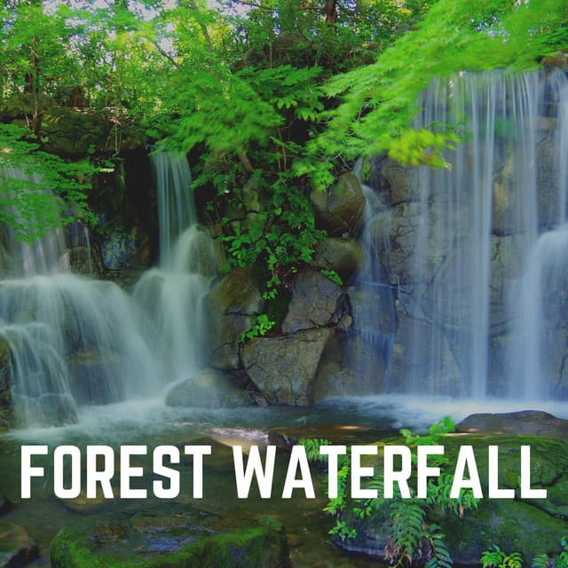 Forest Waterfall - Waterfall Sounds