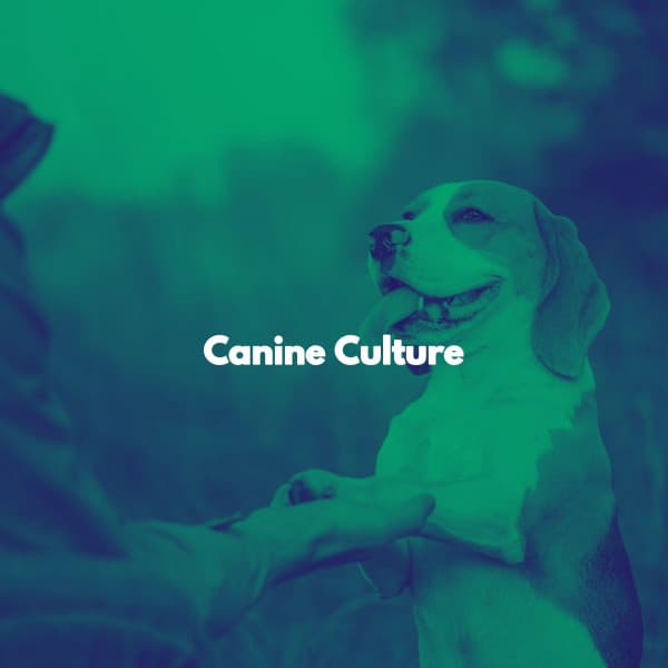 Canine Culture - Evening Jazz Bgm