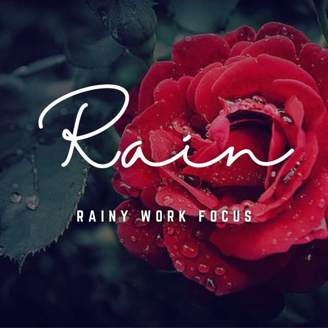 Rainy Work Focus: Nature's Productivity Symphony - Sounds Of Nature