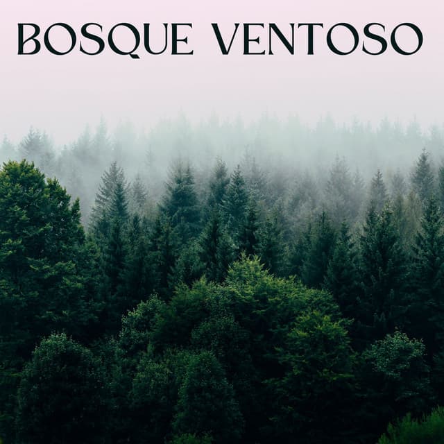 Bosque Ventoso - Musica del bosque