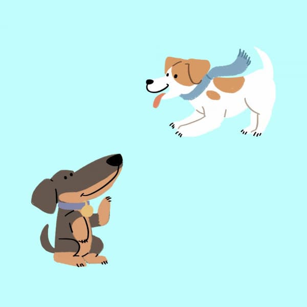 High Class Background Music for Dog Meditations - Dog Anxiety Music