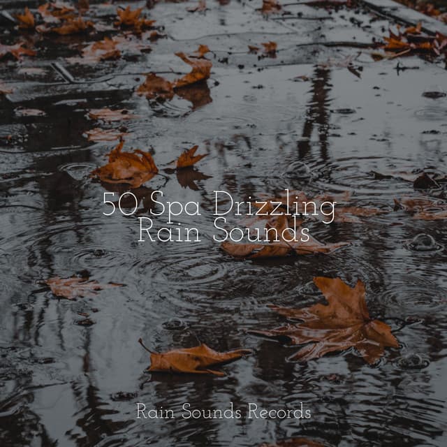 50 Spa Drizzling Rain Sounds - Binaural Beats Brainwave Entrainment