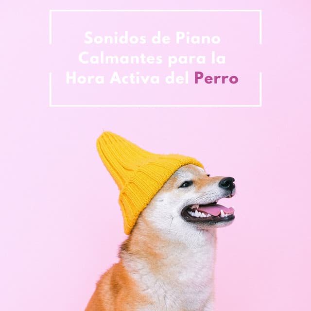 Sonidos De Piano Calmantes Para La Hora Activa Del Perro - Musica Relajante De Piano Clásica