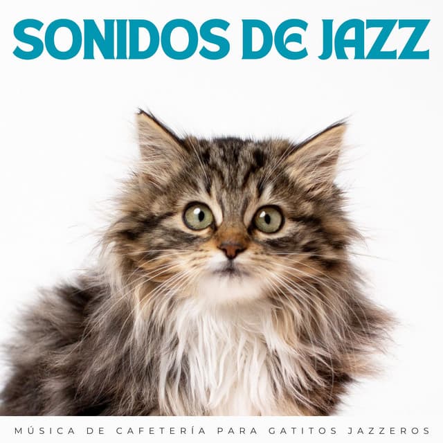 Sonidos De Jazz: Música De Cafetería Para Gatitos Jazzeros - Jazz Ambiente