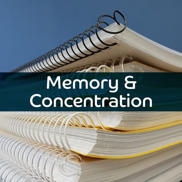 Memory & Concentration – Music for Study, Easy Work, Focus Tracks - Studying Music and Study Music