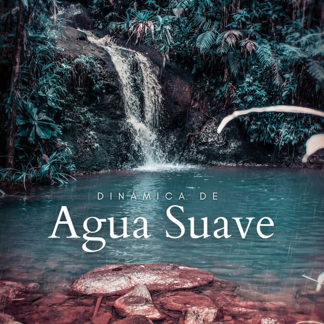 Dinámica De Agua Suave - Sonidos De Agua